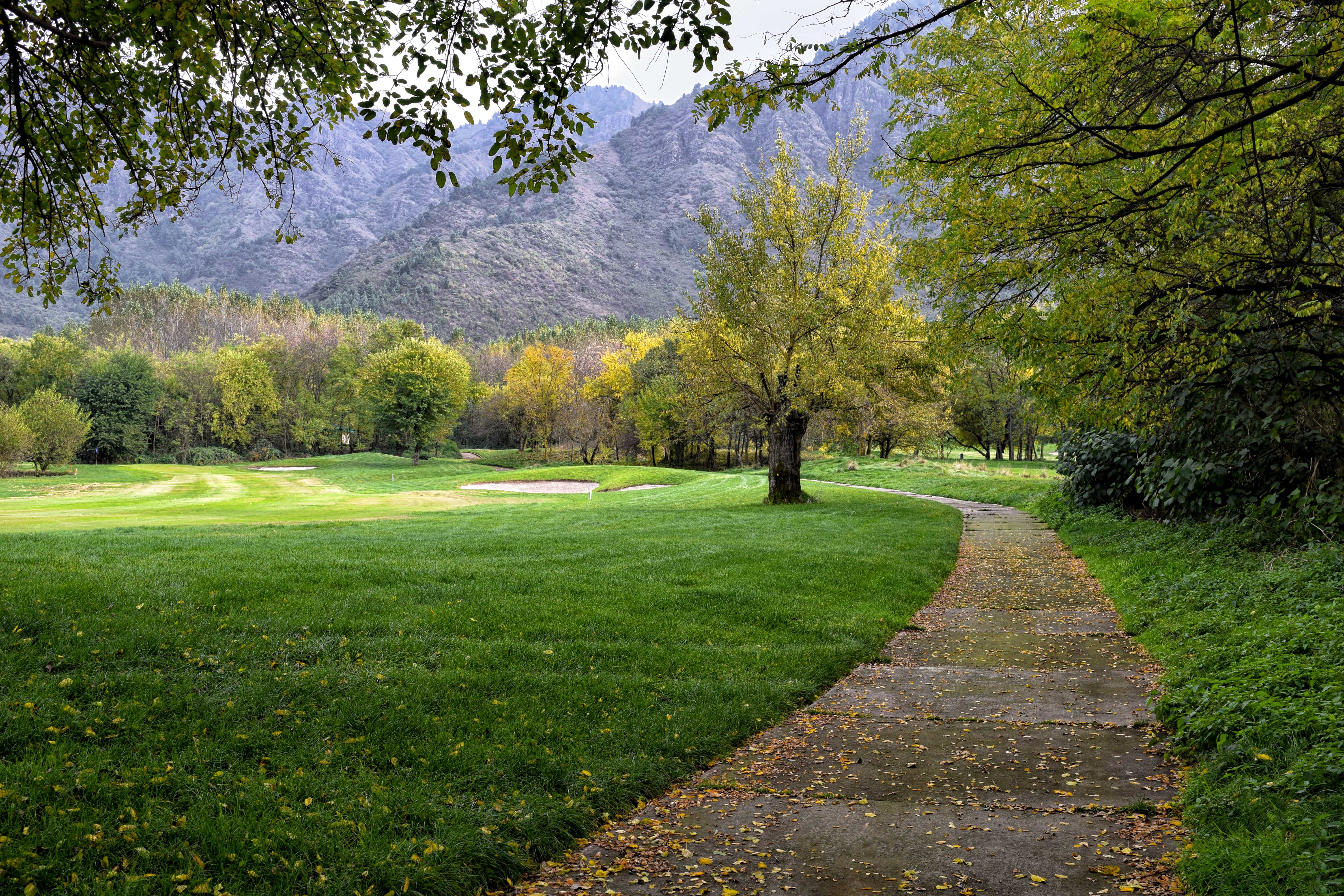 Srinagar