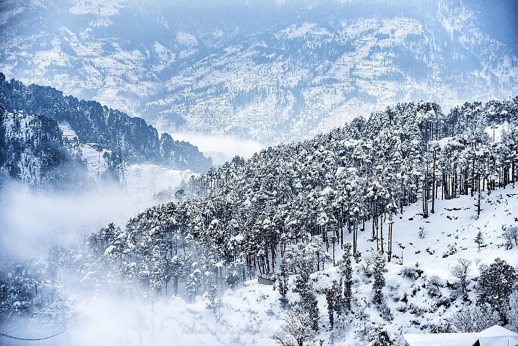 Patnitop