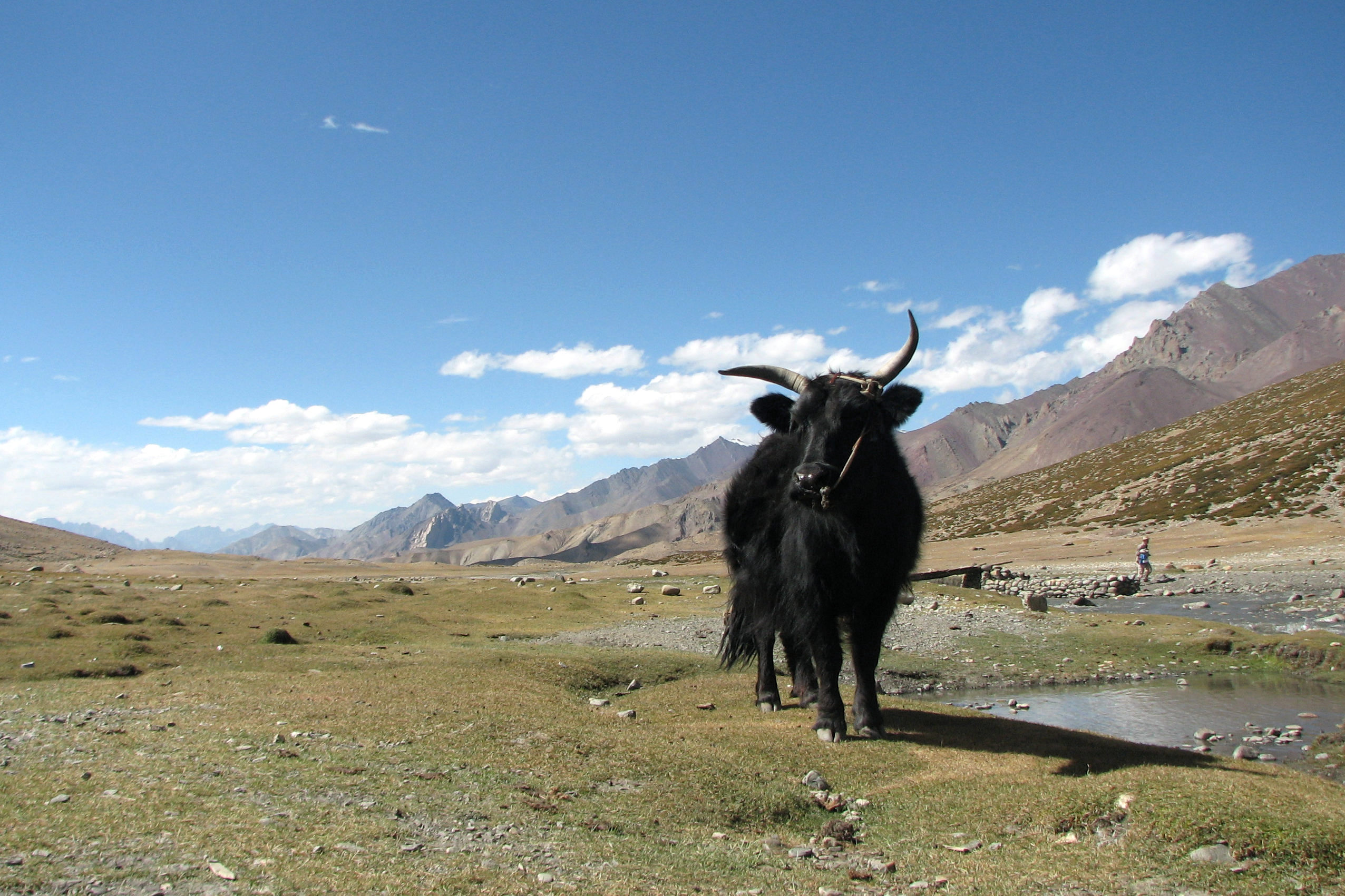 5 NIGHTS 6 DAYS LEH TO LEH PACKAGE