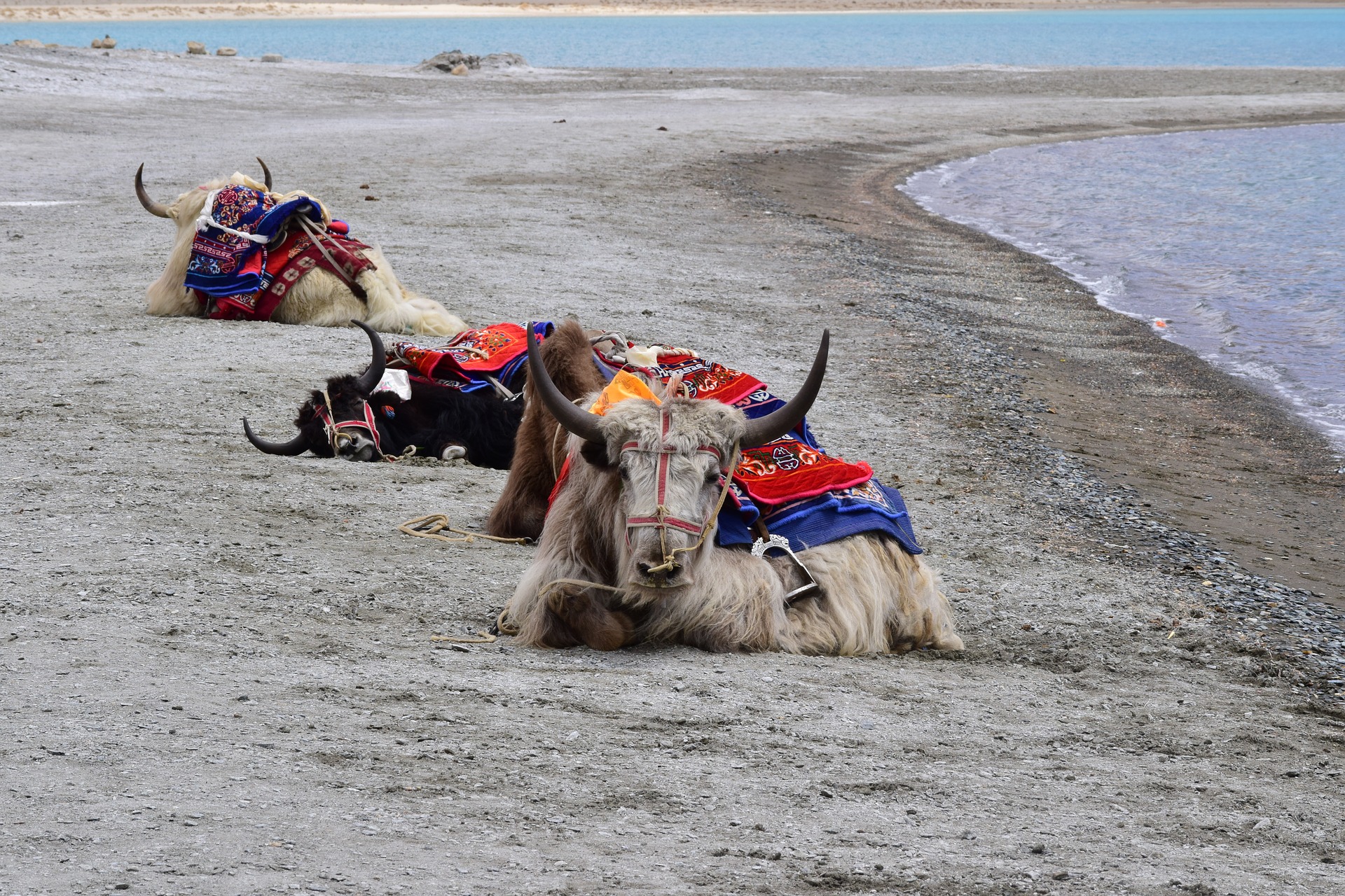 Manali Leh Srinagar- 12 Nights 13 Days